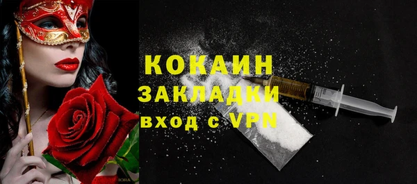 соль ск Алексин