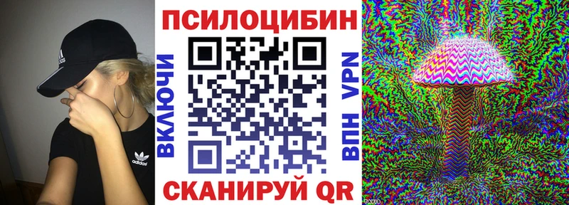 omg вход  Кирс  Псилоцибиновые грибы мухоморы 